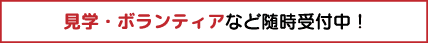 見学・ボランティアなど随時受付中！