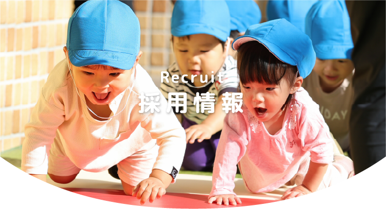 採用情報