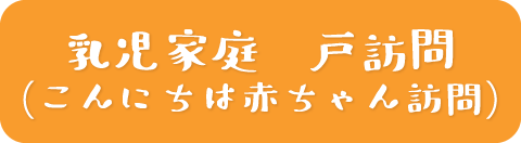 乳児家庭前戸訪問（こんにいてゃ赤ちゃん訪問）